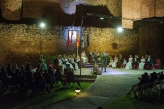 Pregón de las fiestas de Valencia de Don Juan